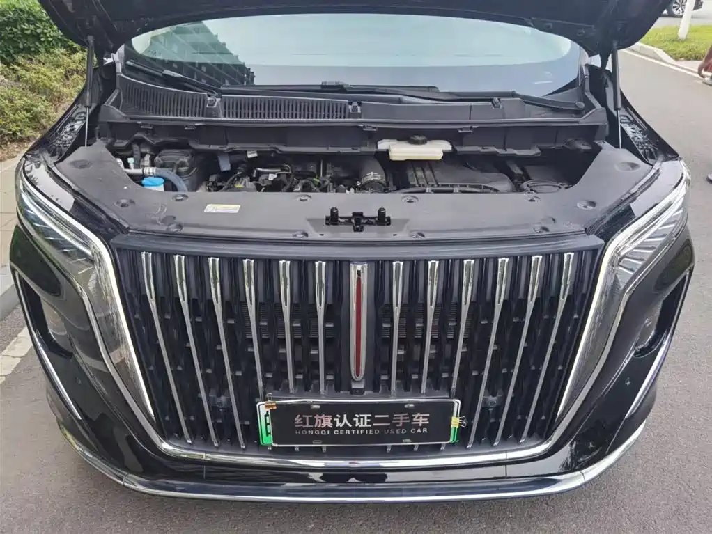 Hongqi HQ9 PHEV 2024 Model 2.0T AWD Luxury Edition фото 6