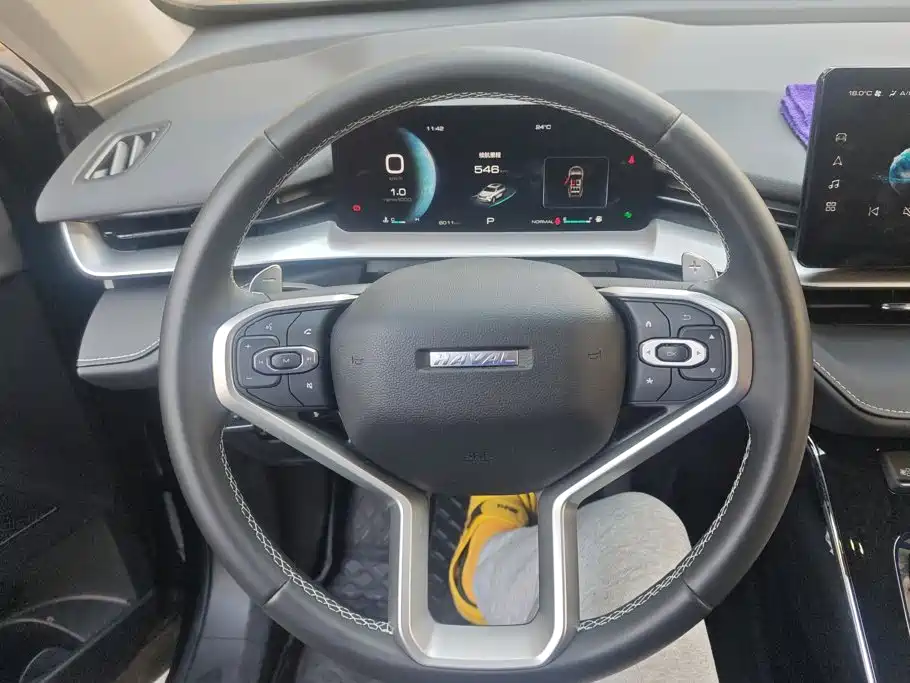 Haval H6 2025 2024 Model 1.5T 2WD Classic Edition