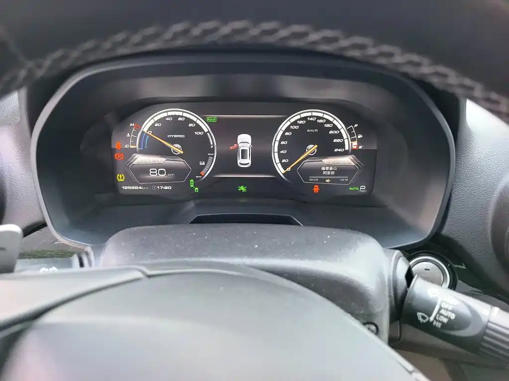 WEY P8 2018 2018 2.0T Flagship Model