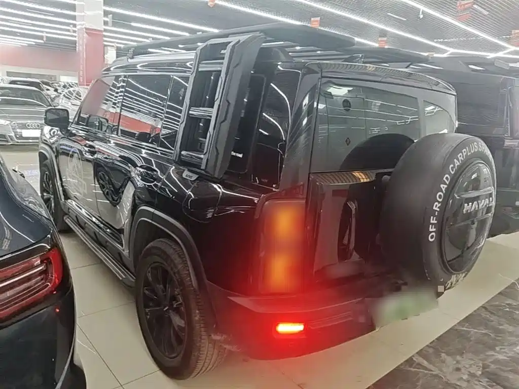 Haval Meng Long NEV 2024 Hi4 145 Cross-country Edition фото 23