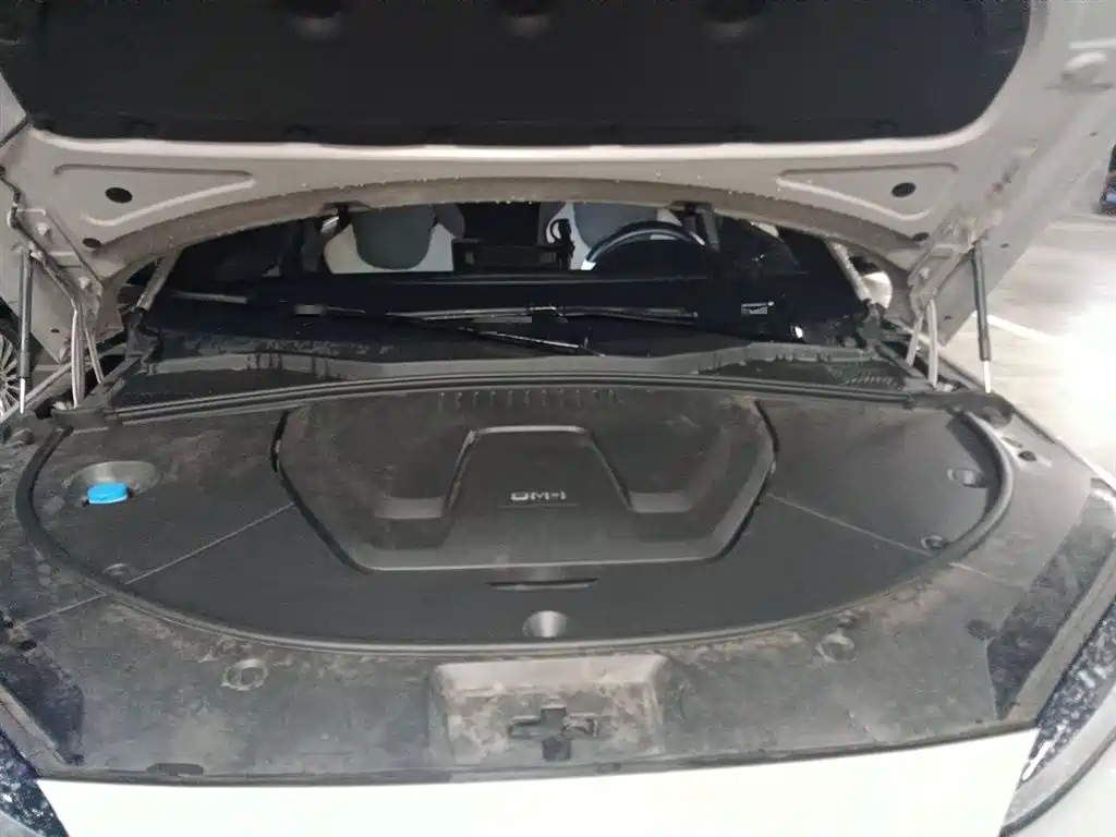 BYD Song PLUS PHEV 2023 Champion Edition DM-i 150KM Flagship PLUS фото 17