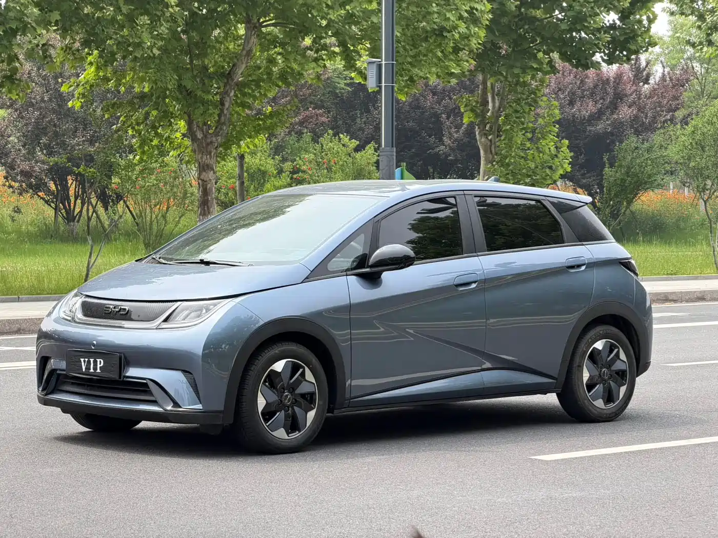 BYD Dolphin 2024 Glory Edition 420km Freedom Edition