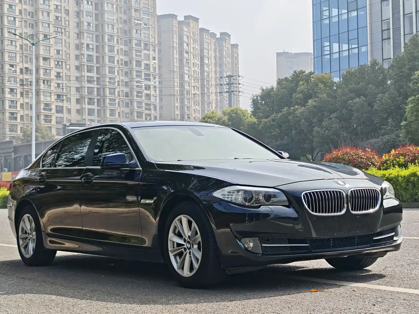 BMW 5 Series 2012 523Li Luxury фото 5