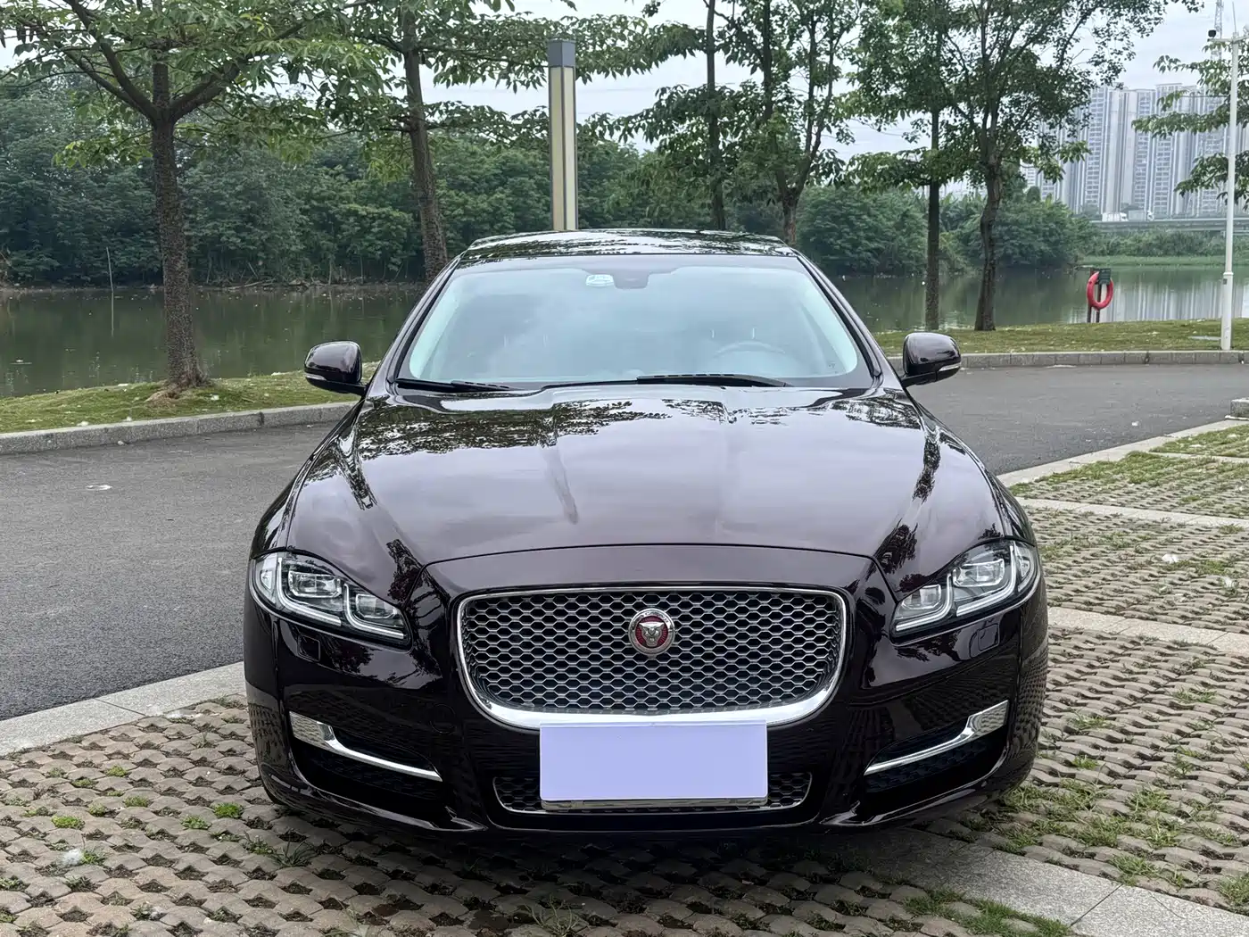 Jaguar XJ 2016 2016 XJL 2.0T 2WD Elegance Business Edition
