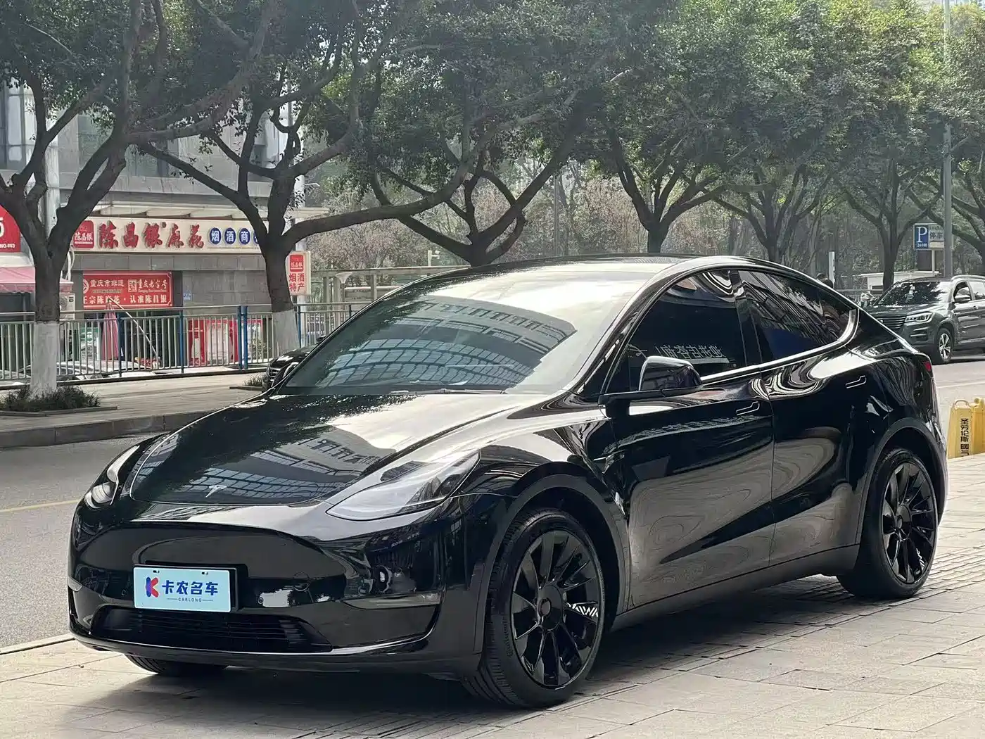 TESLA MODEL Y
