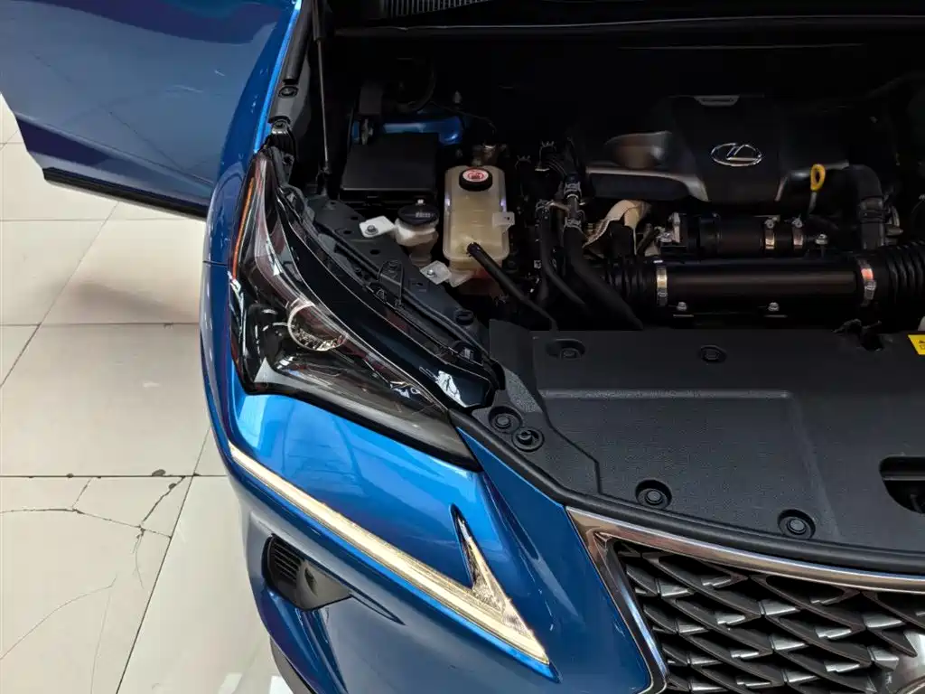 Lexus NX 2018 Model 300 AWD Fengshang Edition фото 23