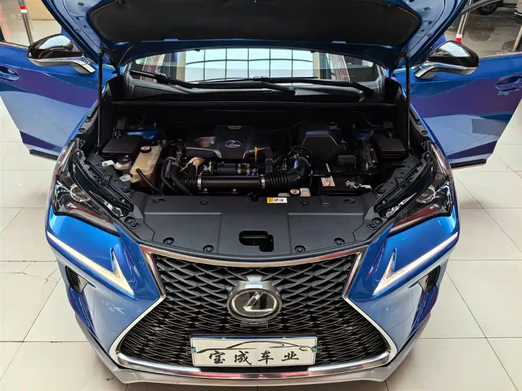 Lexus NX 2018 Model 300 AWD Fengshang Edition фото 21
