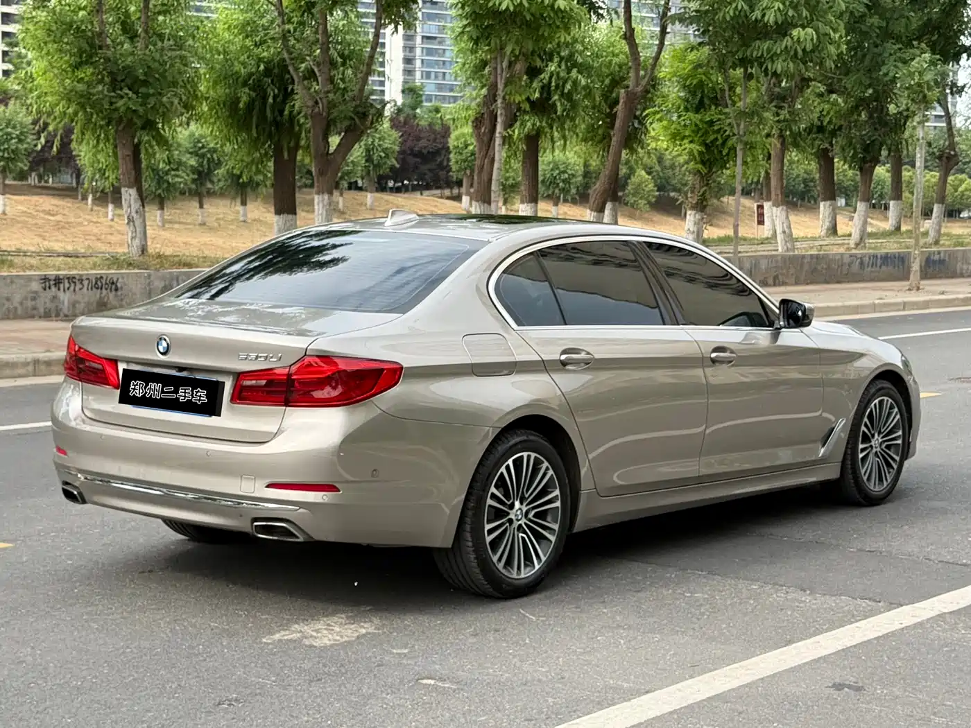 BMW 5 Series 2019 530Li Premium Luxury Package фото 7