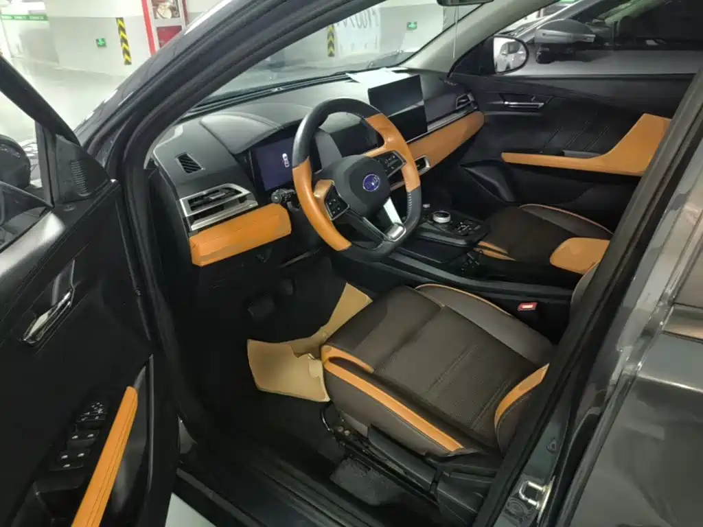 BYD e2 2021 2020 Upgraded Long Range Luxury
