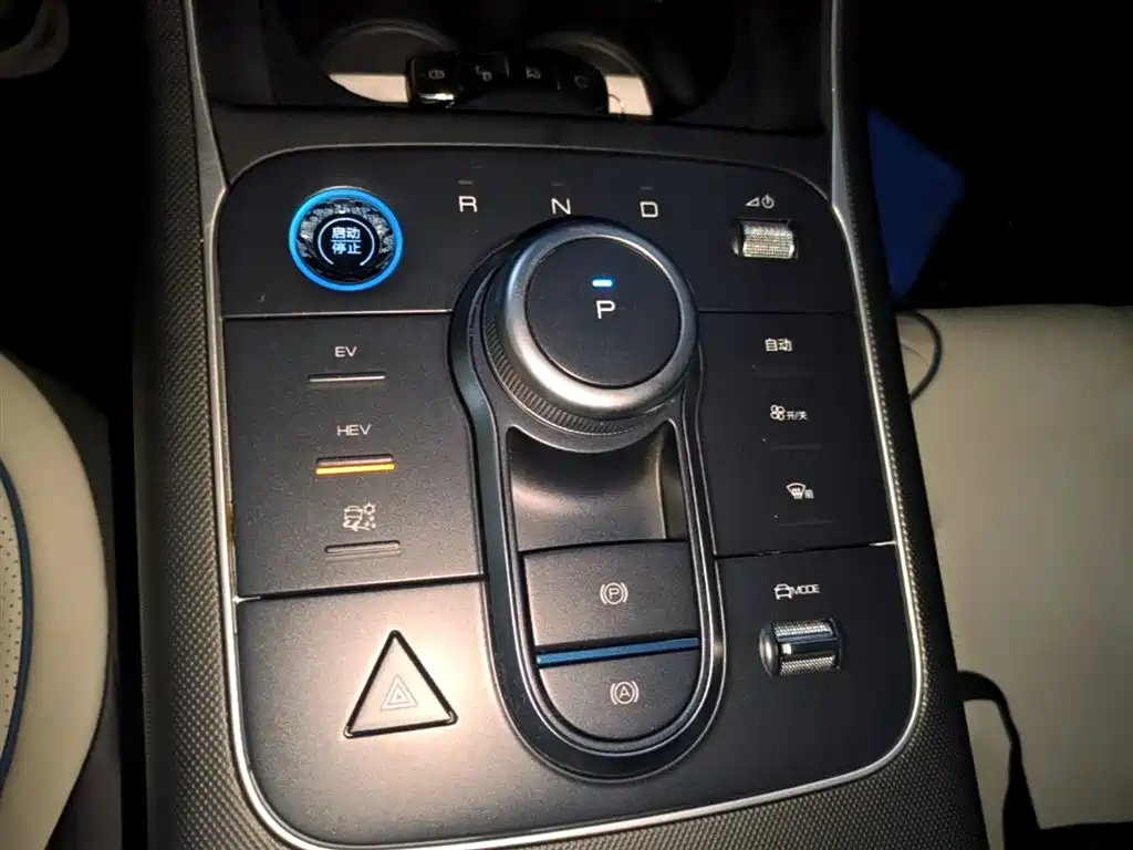 BYD Destroyer 05 2024 Glory Edition DM-i 55KM Luxury фото 14