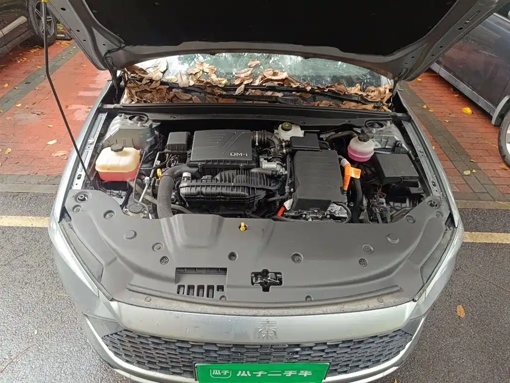 BYD Qin PLUS 2023 Champion Edition DM-i 55KM Leading фото 21