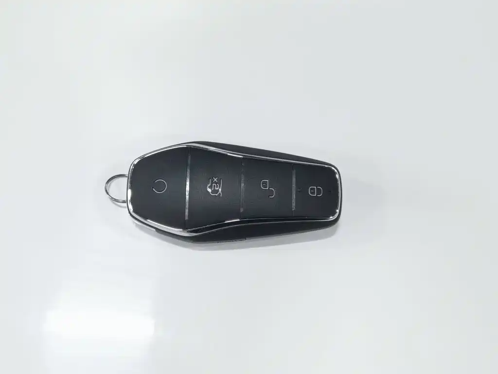 BYD Yuan Pro 2022 2021 401KM Luxury Model