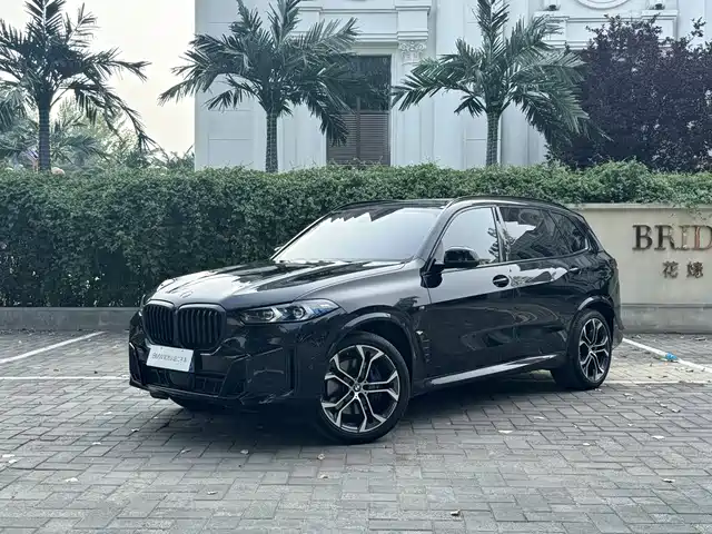 BMW X5 2025