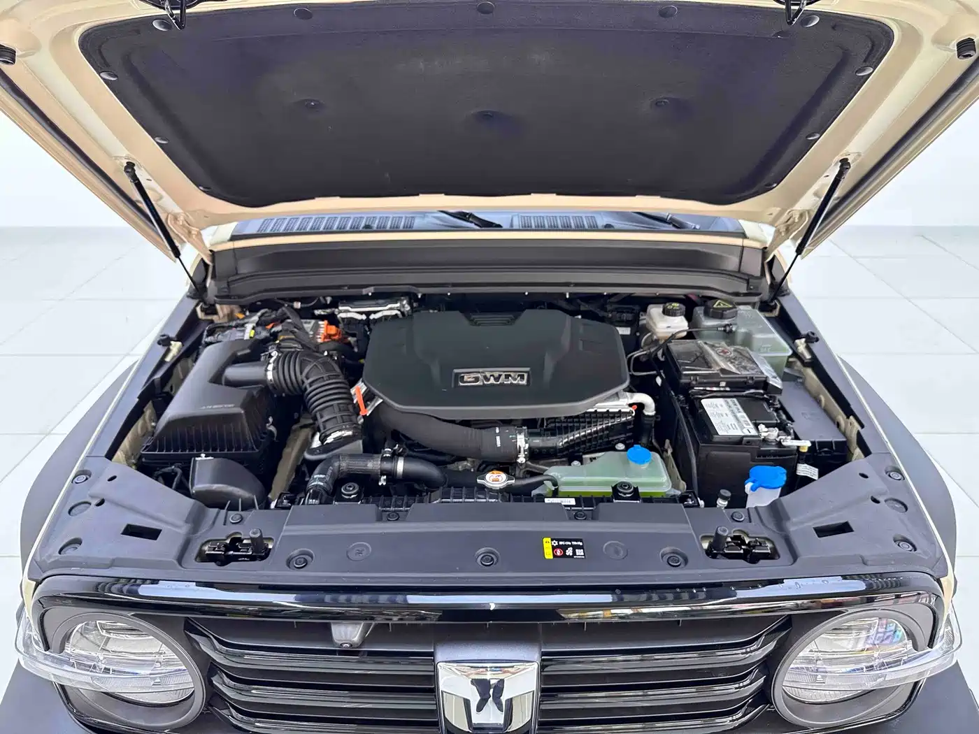 Tank 300 New Energy 2025 2025 Hi4-T 36.7kWh Edition