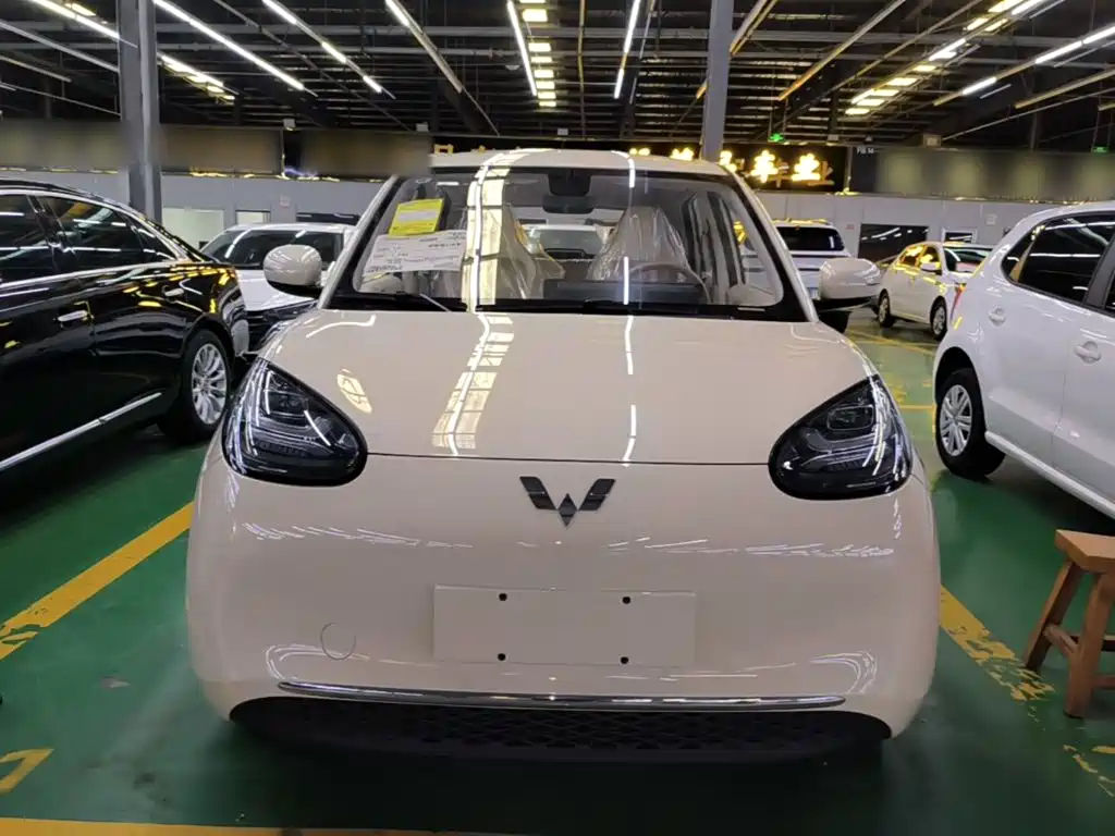 Wuling Motors Wuling Bingo 2026 2025 Model 333km Joy Edition