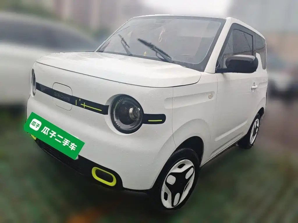 Geely Galaxy Panda 2025 Panda mini 210km Vitality Bear