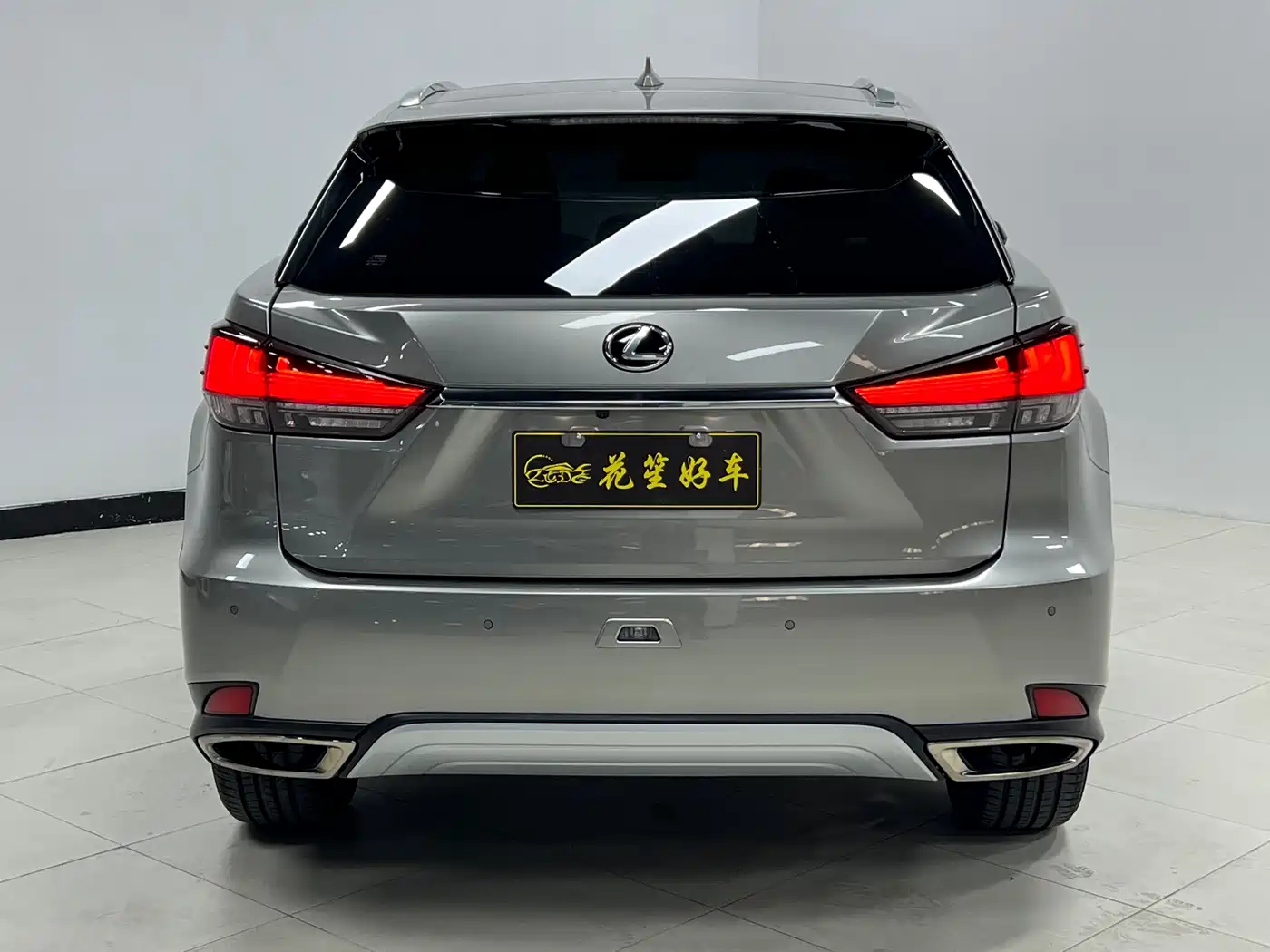 Lexus RX 2020 300 4WD Elegance Edition China VI фото 6