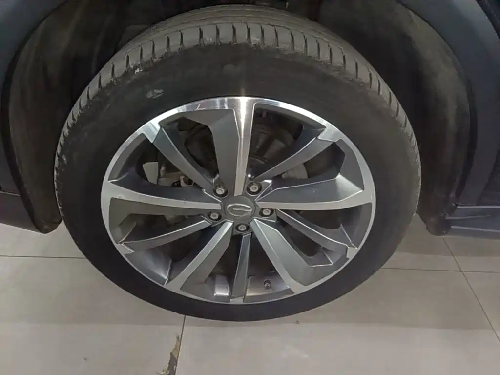 Фото 23 - GAC Trumpchi GS8