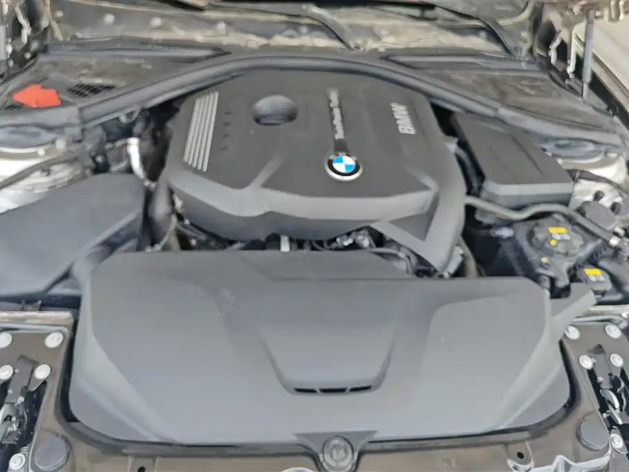 BMW 3 Series 2017 320Li Fashion фото 10