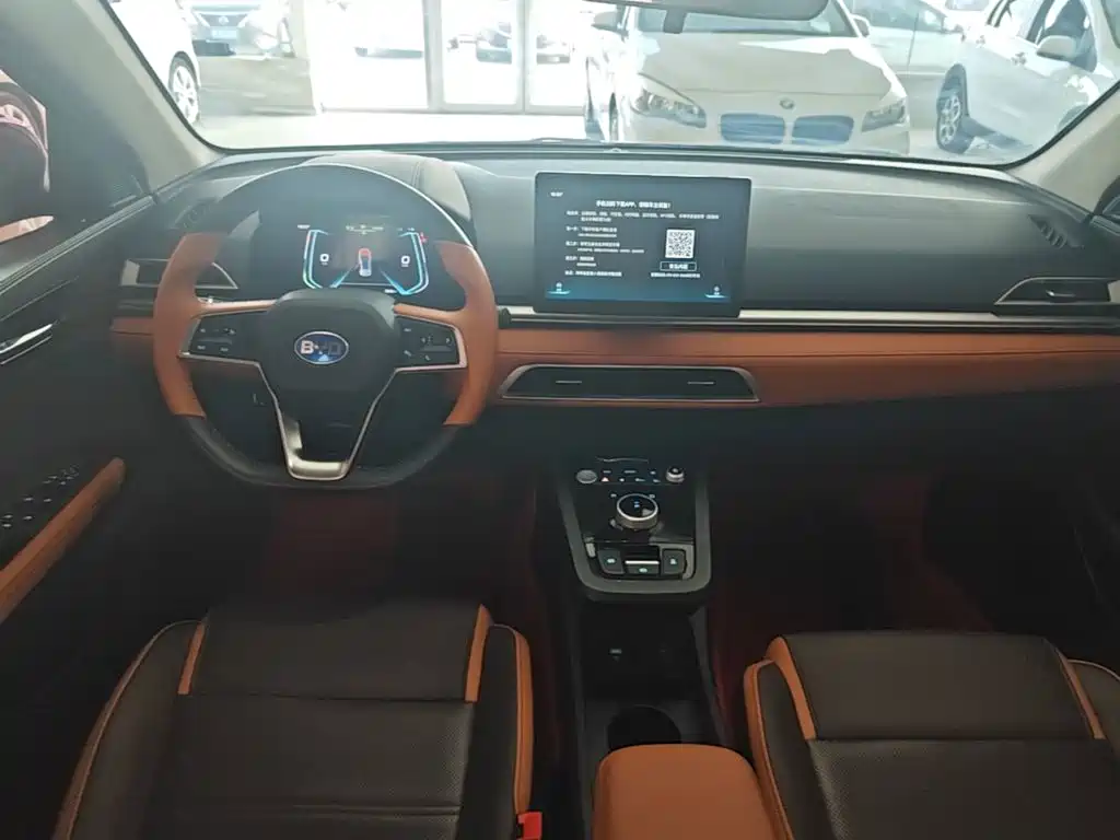 BYD e2 2021 2021 Luxury Edition