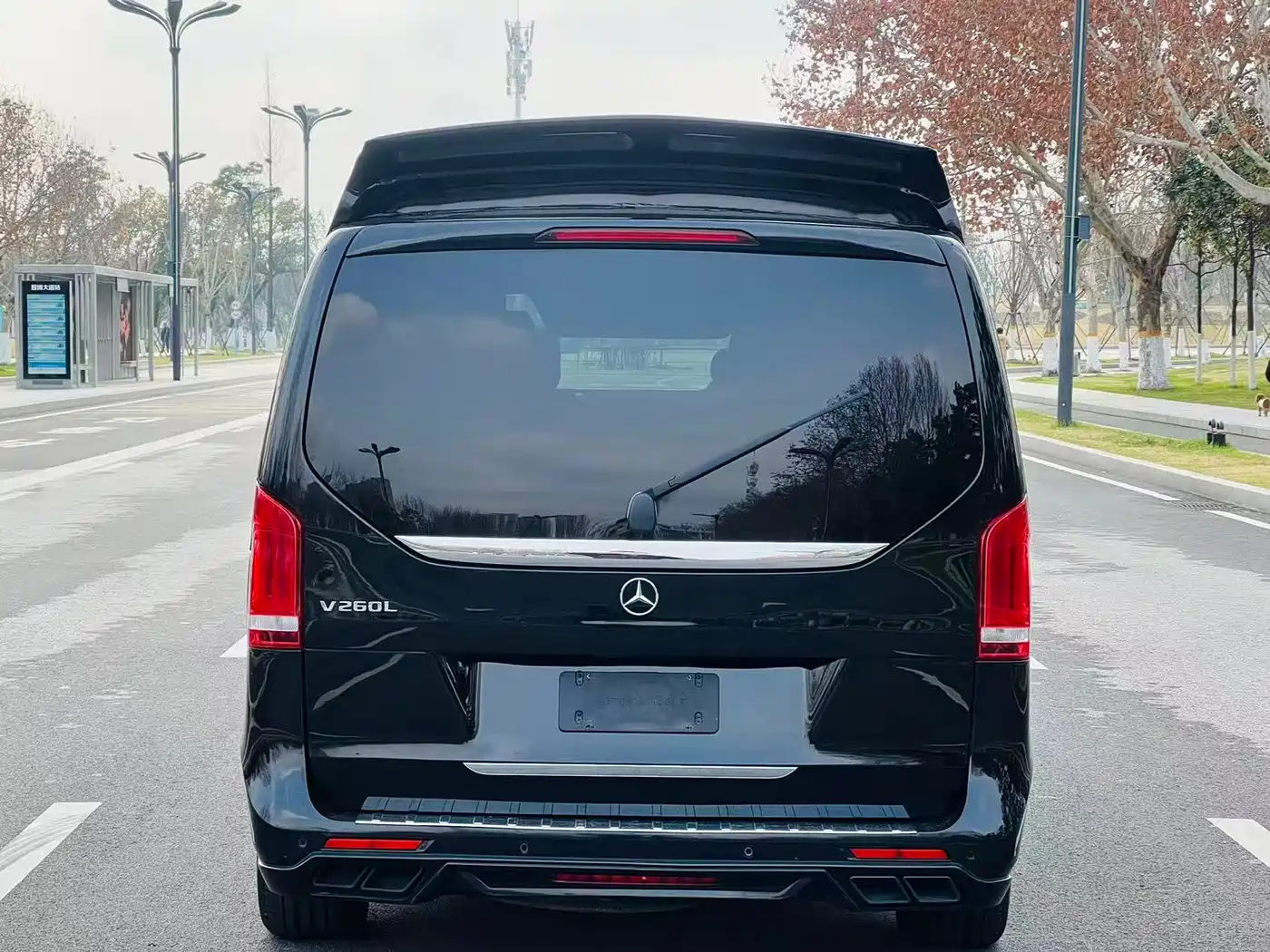 Mercedes-Benz V-Class 2018 V 260 L Premium Long Wheelbase Edition China VI фото 8