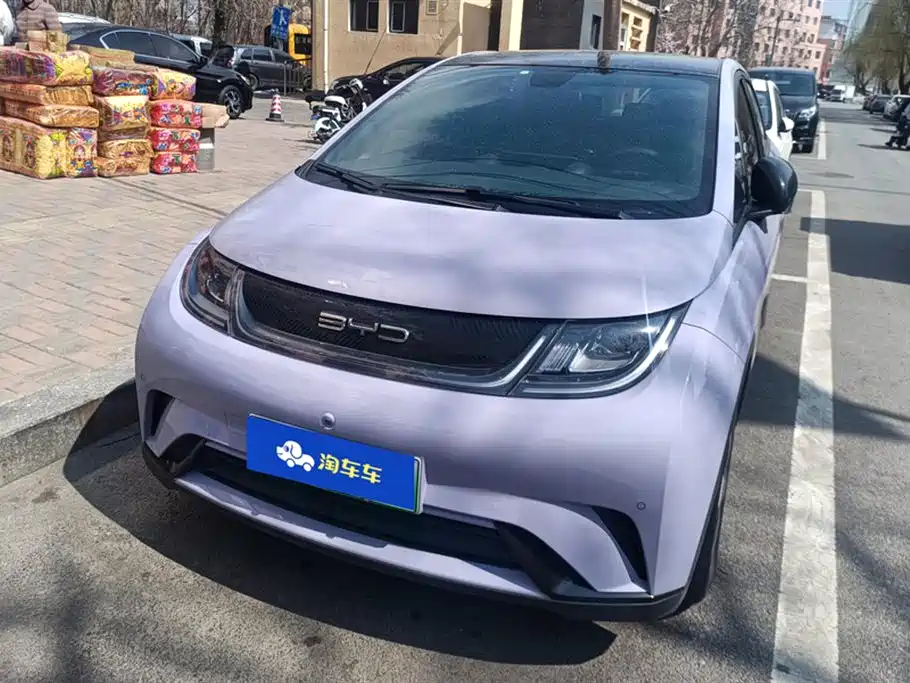 BYD DOLPHIN
