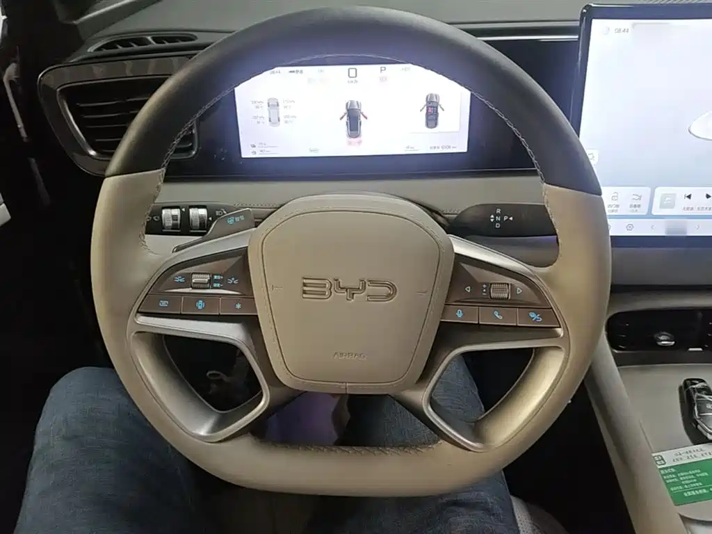 BYD Sealion 06 New Energy 2025 DM-i 170 Pilot Plus Edition фото 11