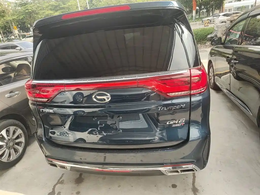GAC Trumpchi Trumpchi M8 2020 Pilot 390T Prestige Edition фото 6