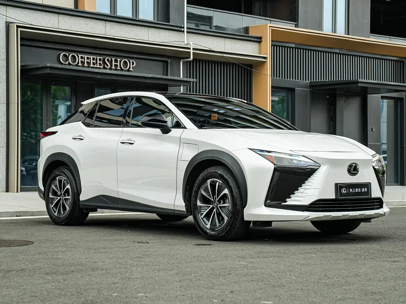 Lexus RZ 2023 450e 4WD Deluxe фото 3