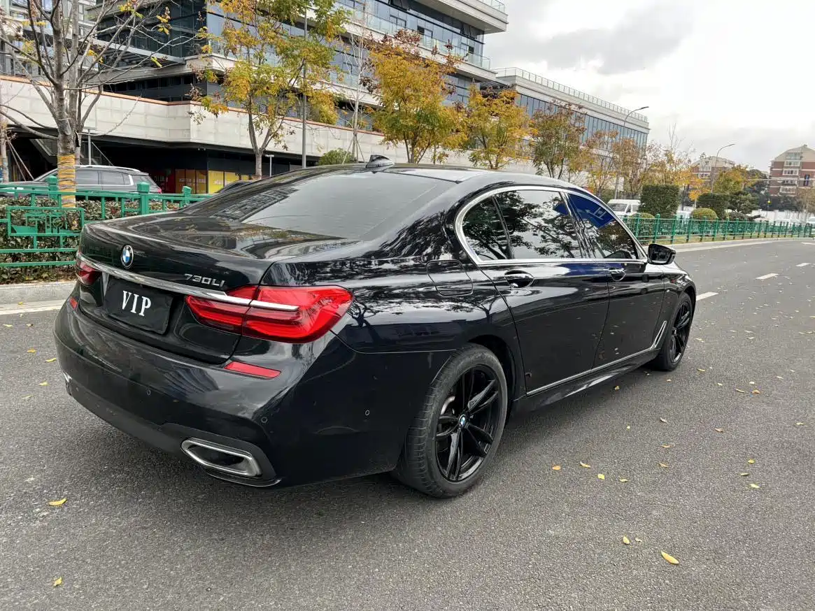 BMW 7 Series 2018 730Li Leading Type M Sport Package фото 18