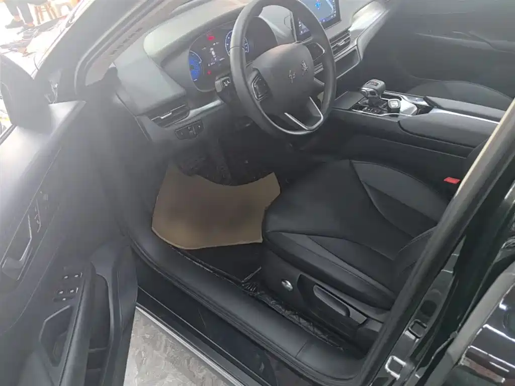 Hongqi E-QM5 2022 431km Charging Enjoyment Edition фото 16