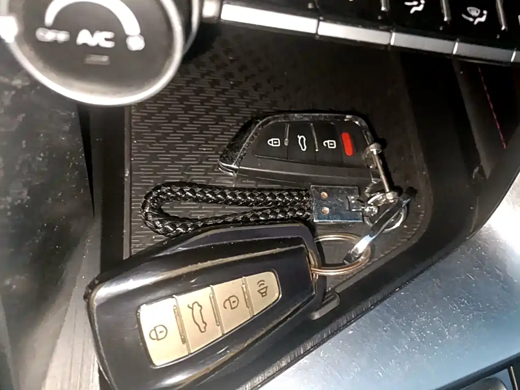 Фото 9 - Geely Binrui