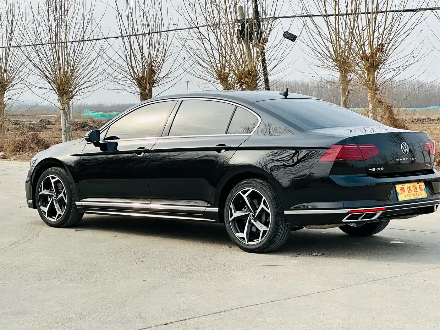 Volkswagen Magotan 2025 Facelift Public Edition 330TSI DSG Luxury фото 6