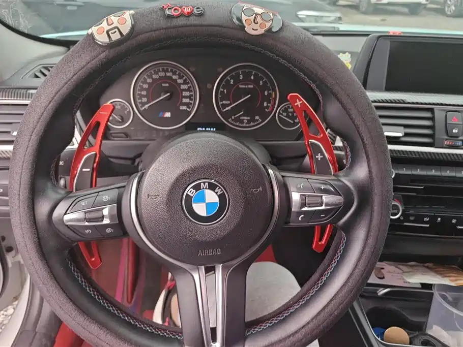 BMW 3 Series 2016 320Li Progressive фото 15
