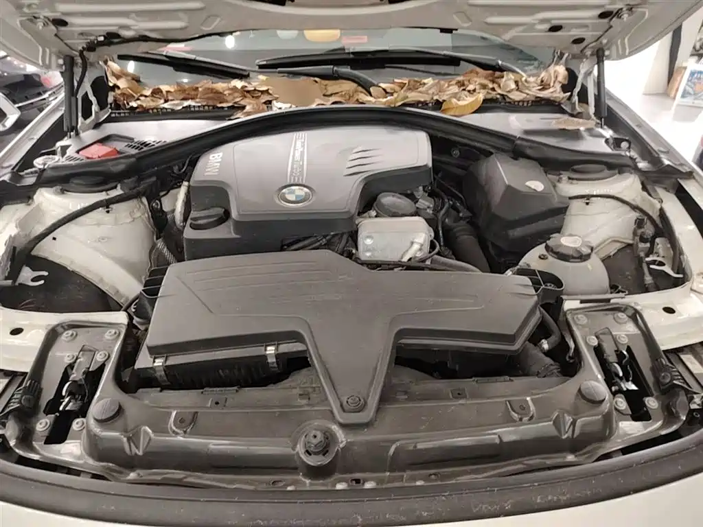 BMW 3 Series 2015 320Li Fashion фото 20