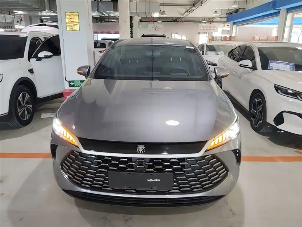 BYD Qin PLUS 2025 DM-i Smart Drive 55KM Leader фото 3