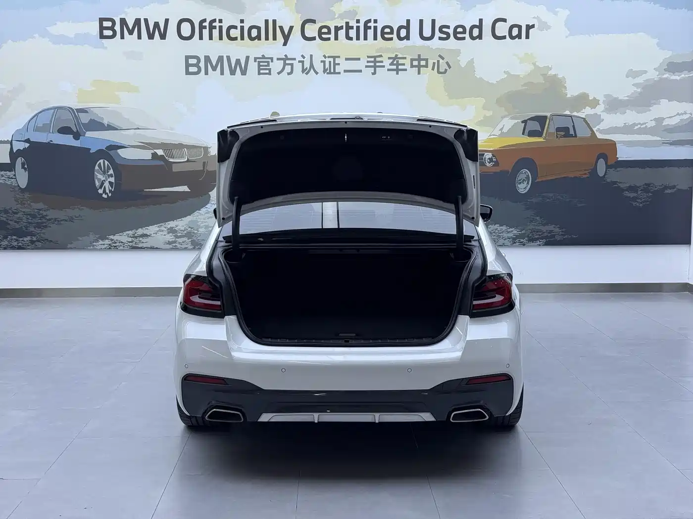 BMW 5 SERIES NEW ENERGY