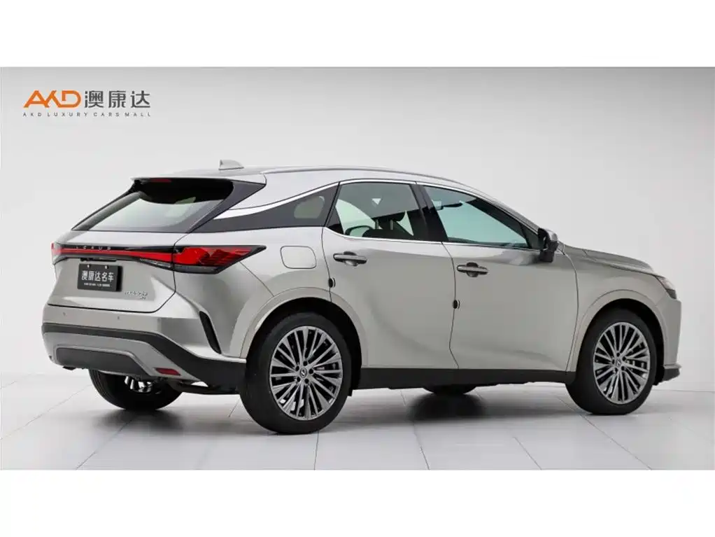 Lexus RX New Energy 2023 450h+ 4WD Enjoyment фото 3