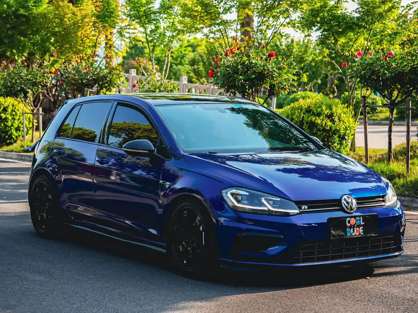 Volkswagen Golf (Import) 2017 2.0TSI R фото 3
