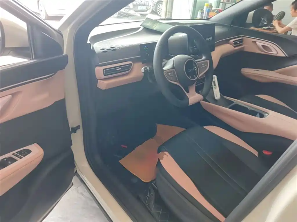 BYD Seagull 2025 Smart Drive Edition 305km Vitality Version фото 16