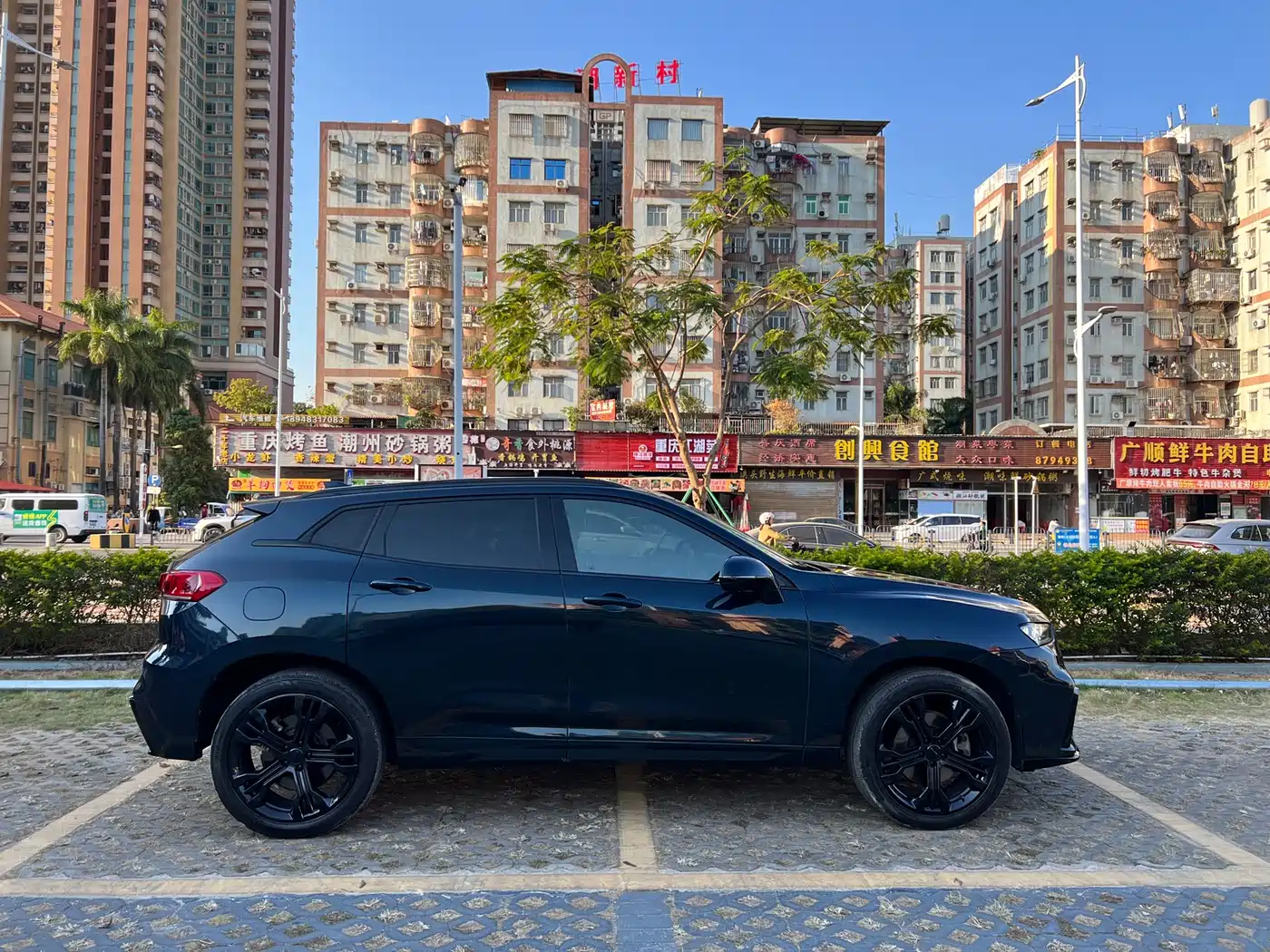 WEI PAI WEI BRAND VV7