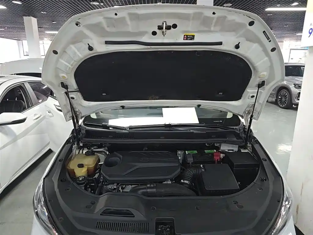 BYD Song MAX 2019 1.5T Manual Smart Connected Sunroof 6-seater China VI фото 20