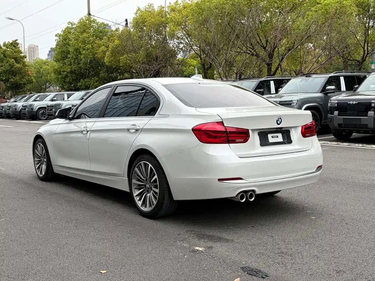 BMW 3 Series 2019 320Li Fashion Type фото 9