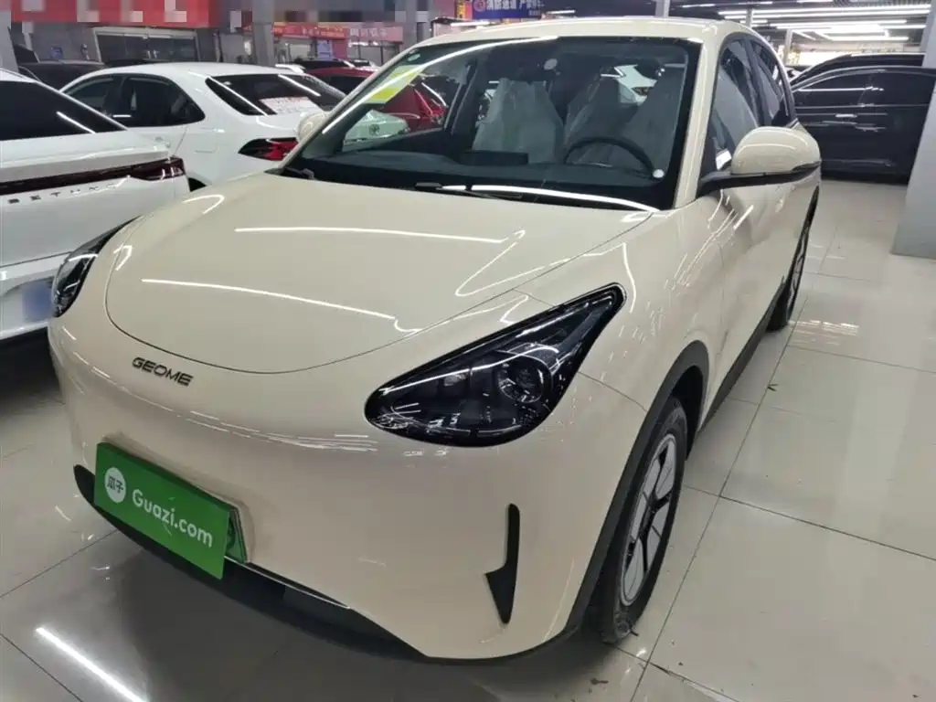 Geely Galaxy Starry Wish 2026 Model 310km Dream Edition