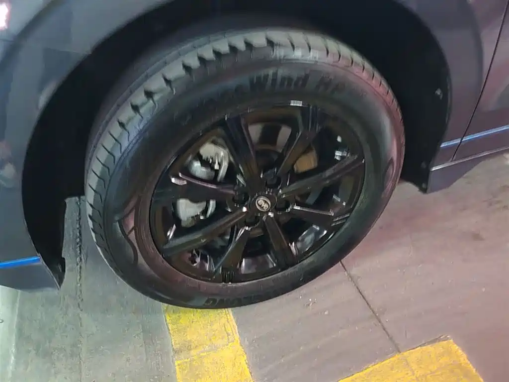 BYD e2 2021 Luxury Edition фото 23