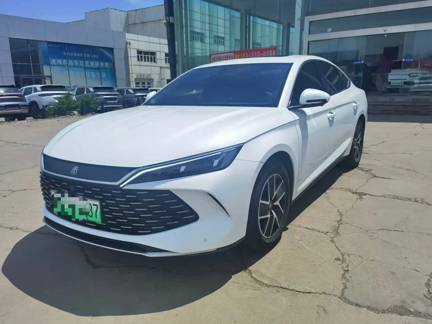BYD Qin L 2024 DM-i 120KM Leading