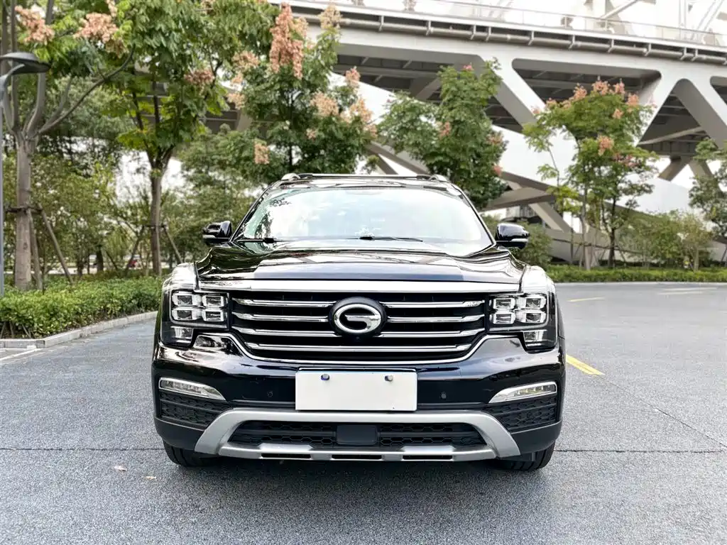 GAC Trumpchi Trumpchi GS8 2017 320T 2WD Luxury Smart Connect (7-seater) фото 2