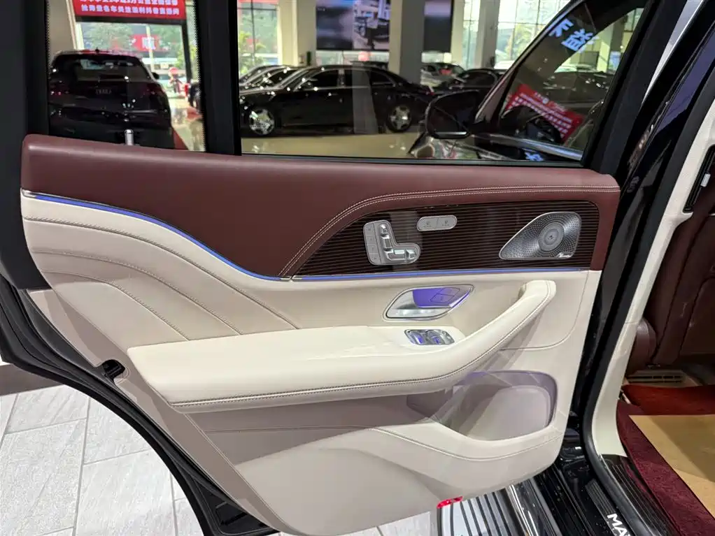 Mercedes-Benz Maybach GLS 2021 GLS 600 4MATIC Ritual Edition фото 24
