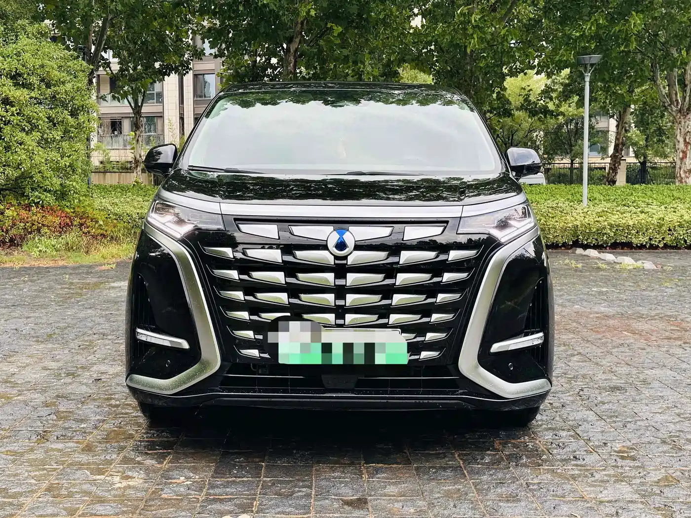 Denza D9 2022 DM-i 970 AWD Flagship фото 2