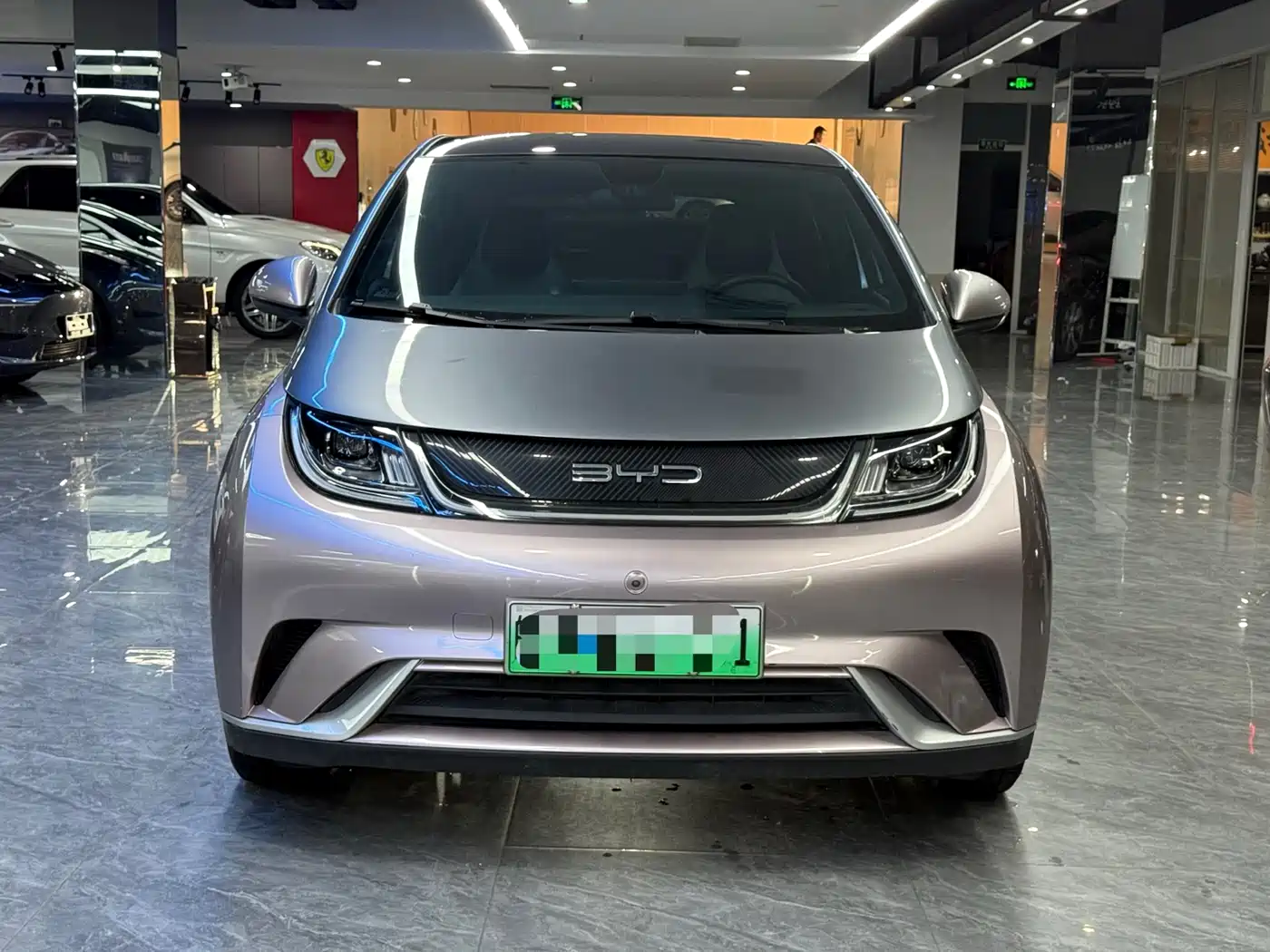 BYD Dolphin 2021 Model 405km Fashion Edition фото 2